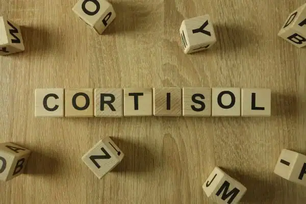 The Hidden Connection: How Stress Shapes Your Fitness and Body Composition 2 Image saying "Cortisol" and how stress Sunbury impacts your wellbeing and bodies shape